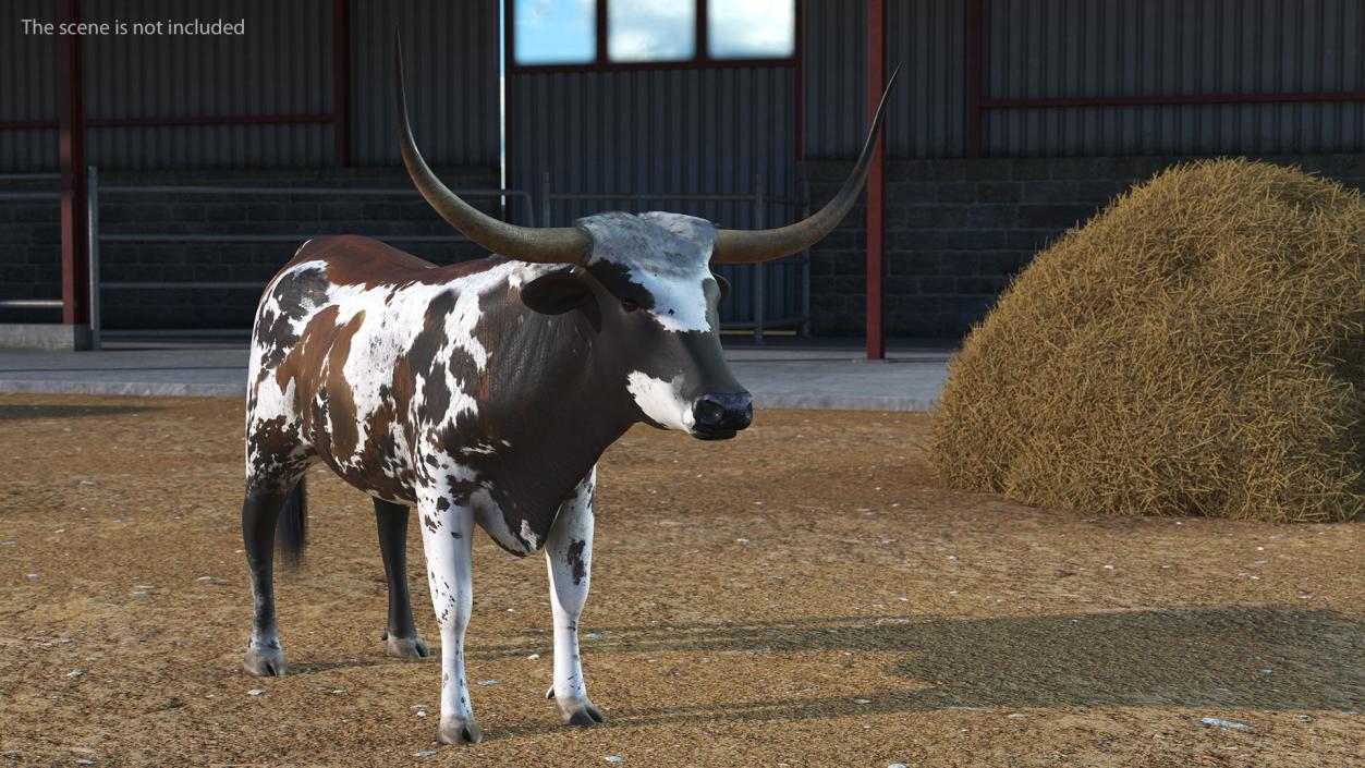 3D Texas Longhorn Mottled Brown model