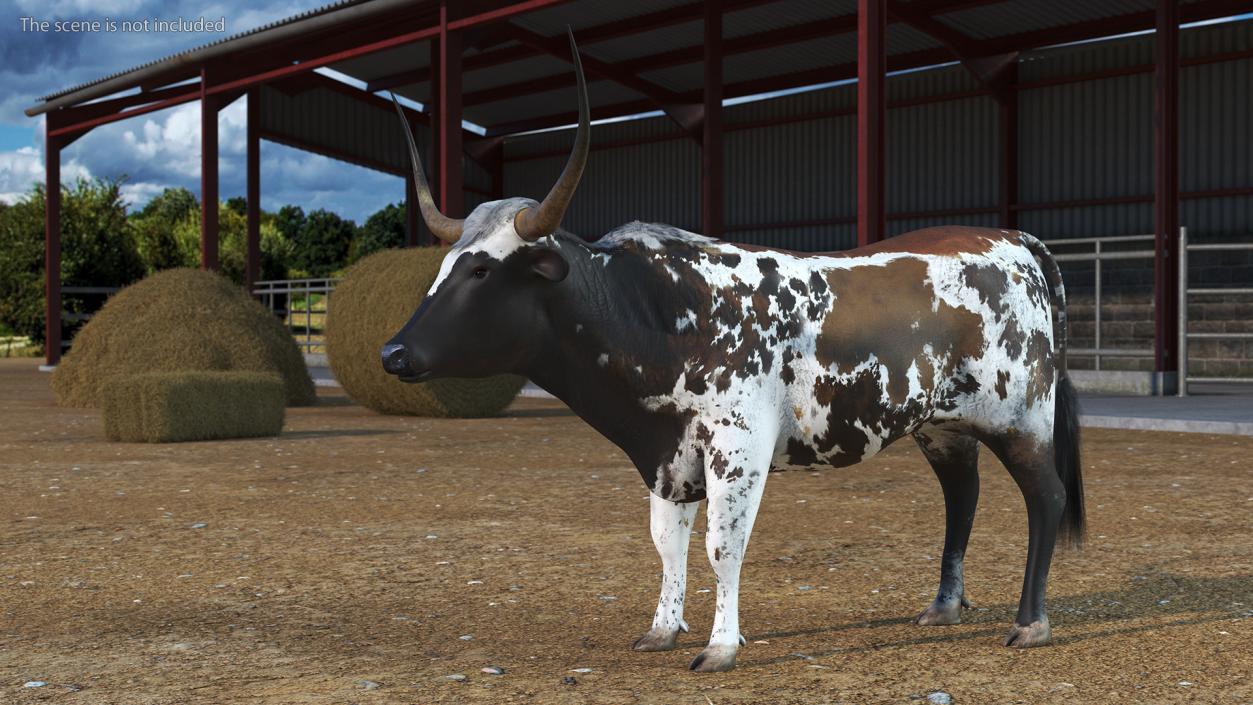 3D Texas Longhorn Mottled Brown model