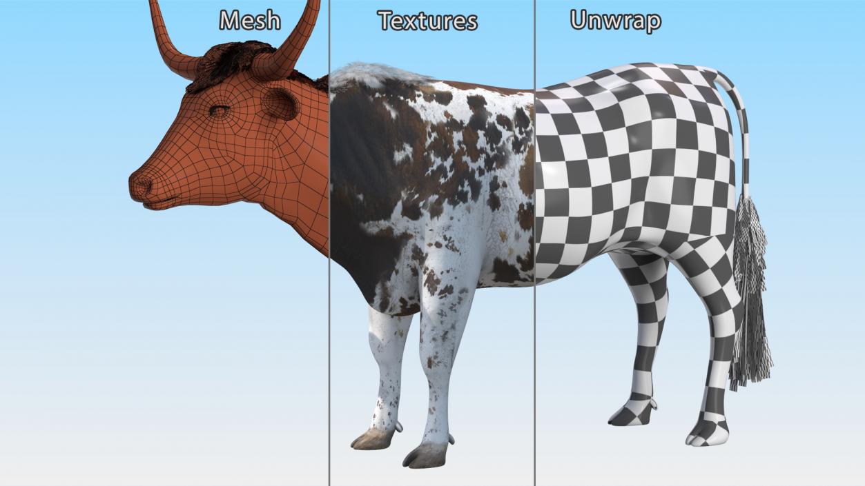 3D Texas Longhorn Mottled Brown model