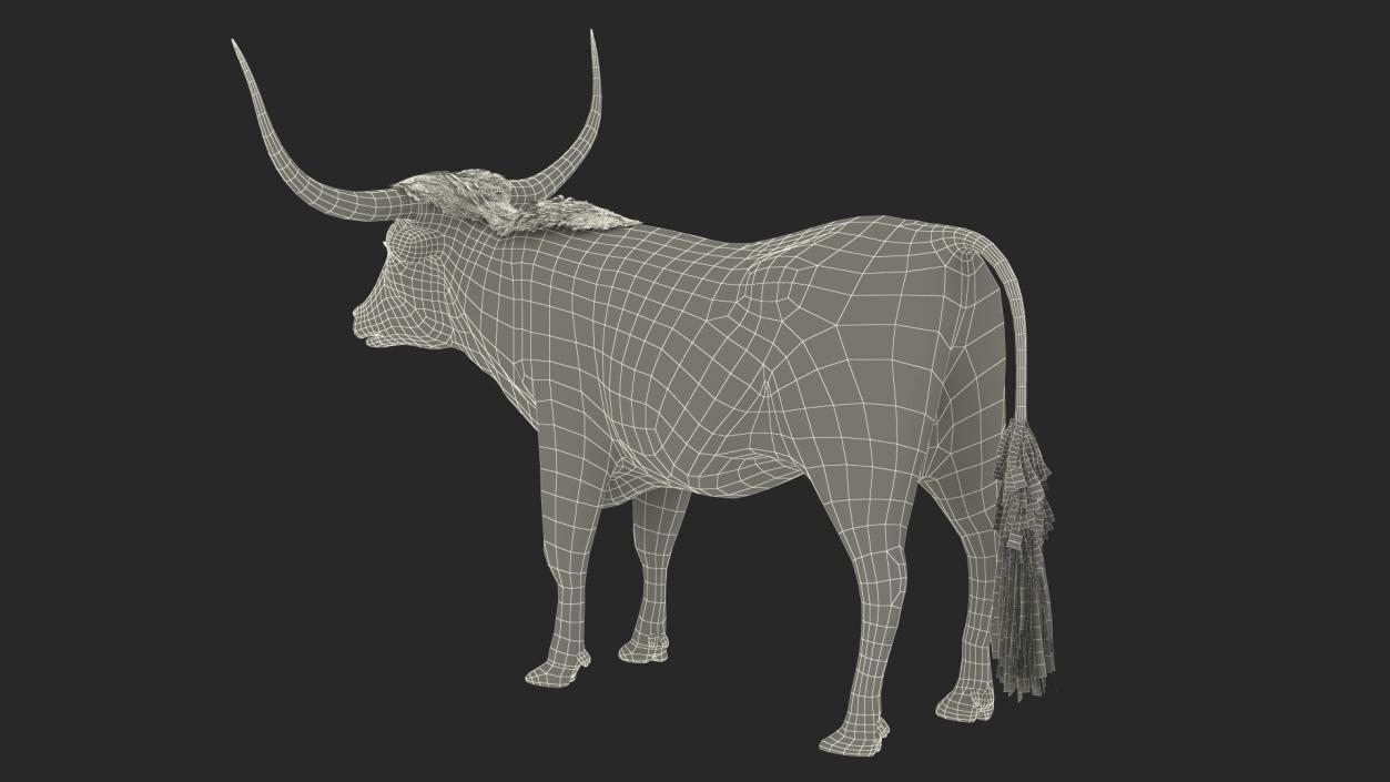 3D Texas Longhorn Mottled Brown model