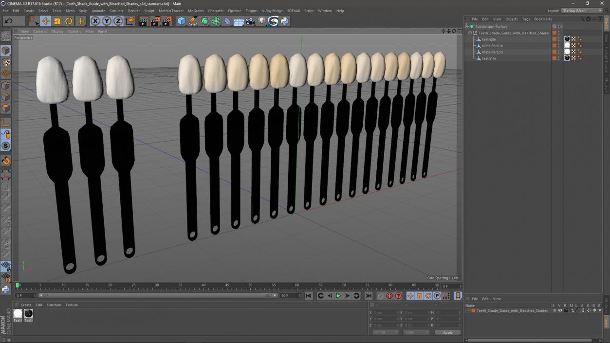 3D Teeth Shade Guide with Bleached Shades model