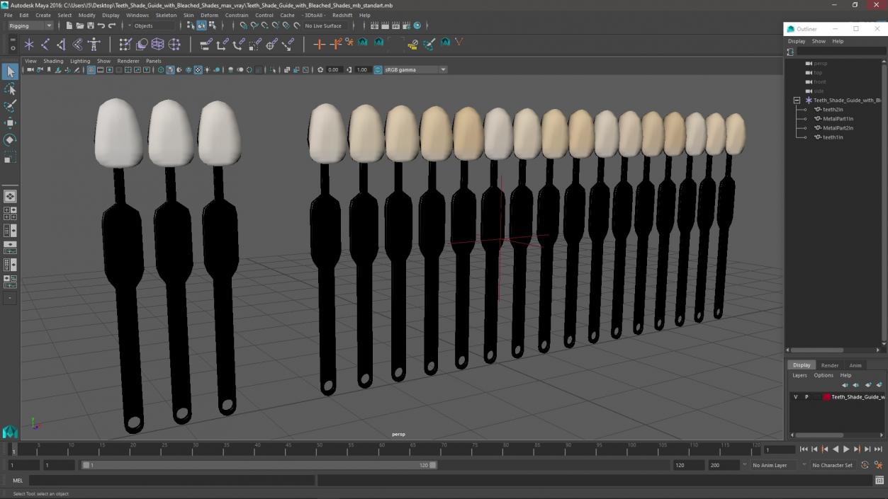 3D Teeth Shade Guide with Bleached Shades model