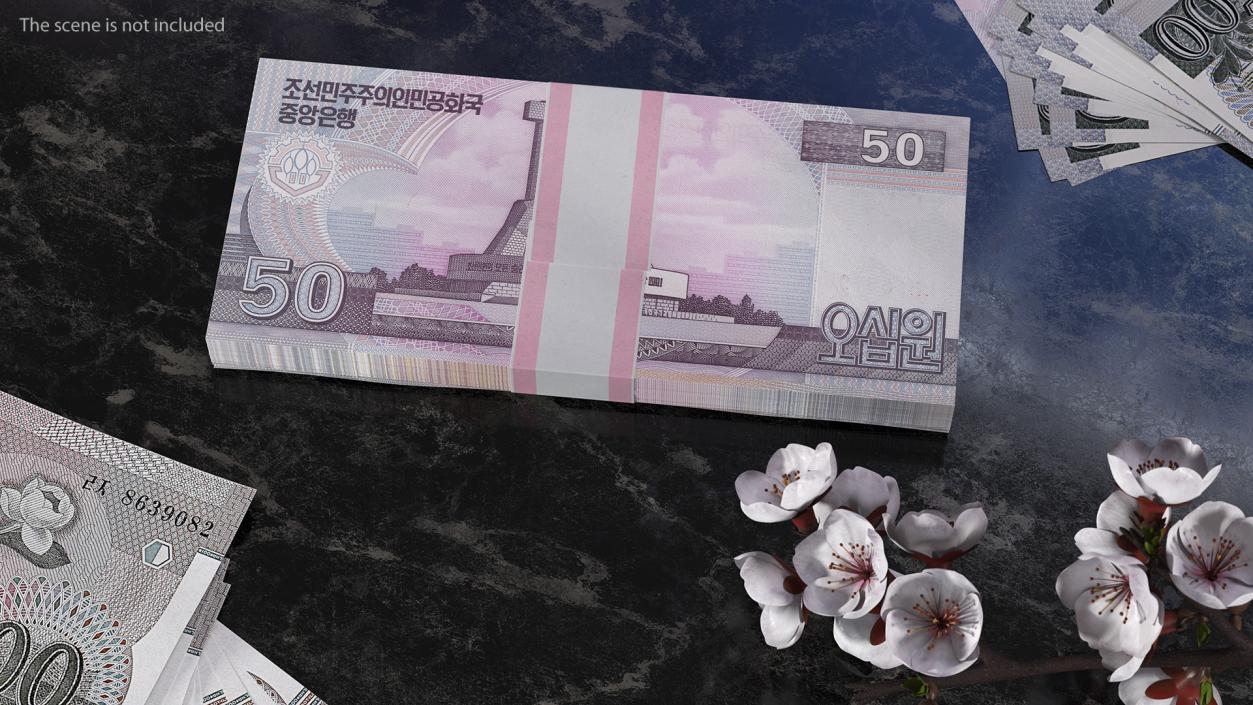 3D North Korea 50 Won Banknotes Pack model