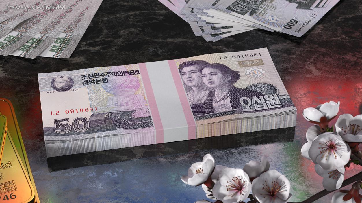 3D North Korea 50 Won Banknotes Pack model