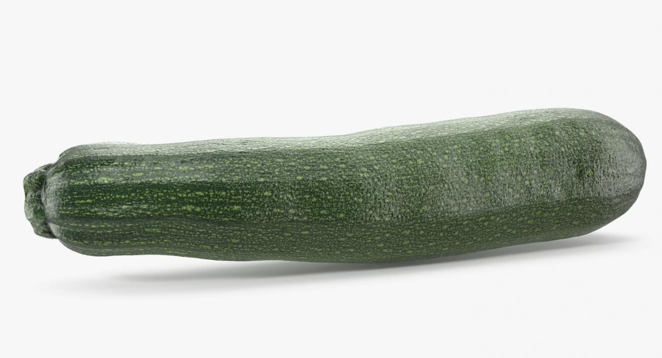 3D model Zucchini