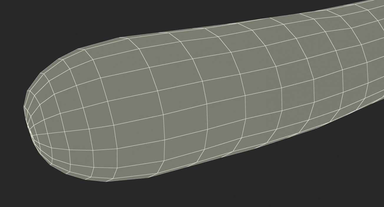 3D model Zucchini