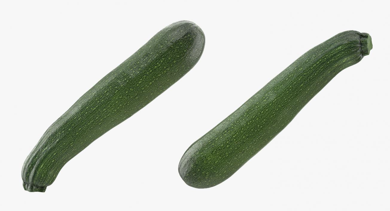 3D model Zucchini