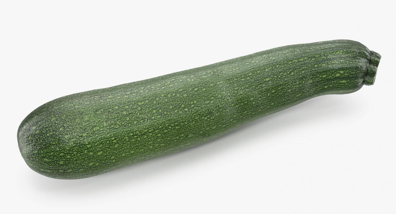 3D model Zucchini