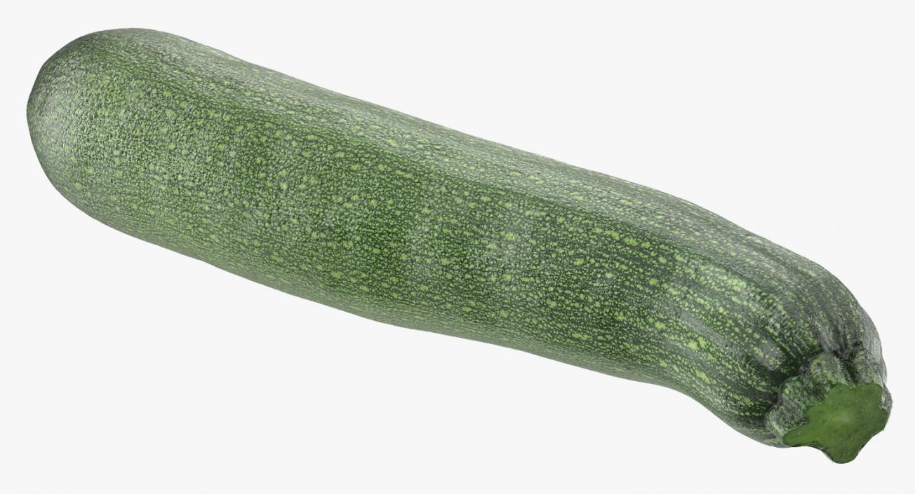 3D model Zucchini