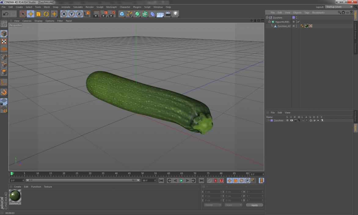 3D model Zucchini