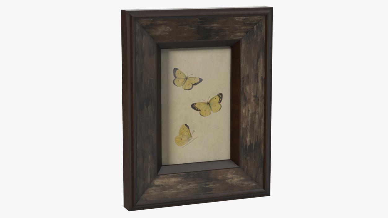 Picture Frames Collection 3 3D