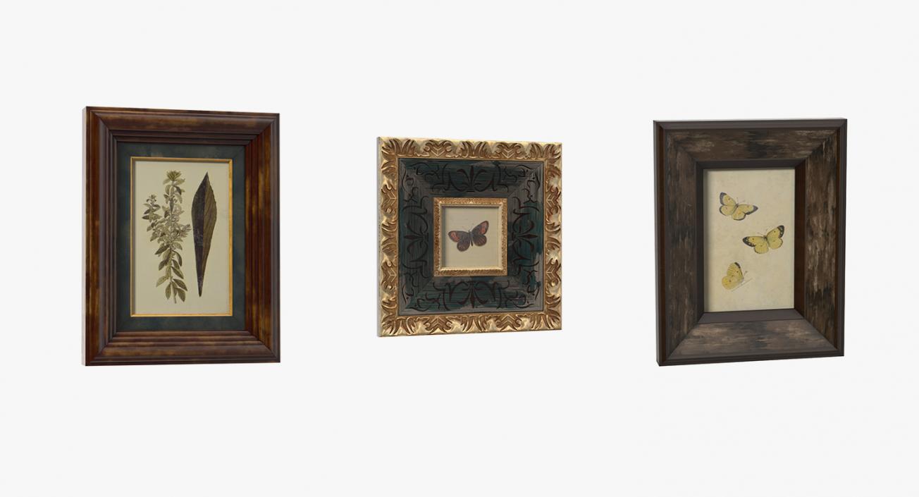 Picture Frames Collection 3 3D