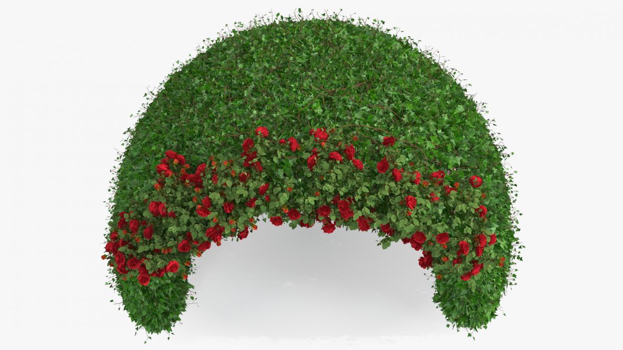 3D Rose Garden Gazebo model