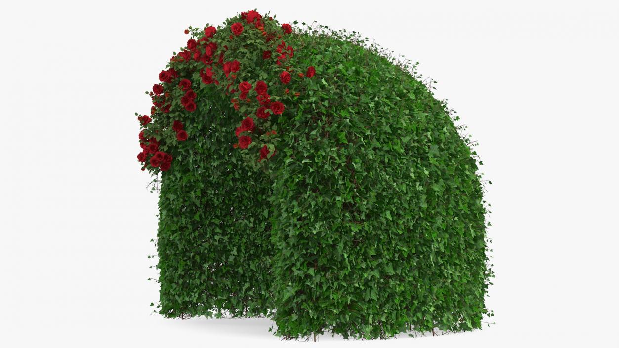 3D Rose Garden Gazebo model