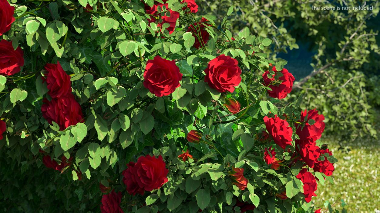 3D Rose Garden Gazebo model