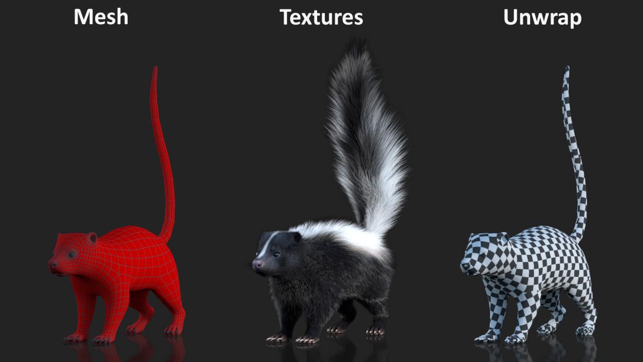 Skunk Fur 3D model