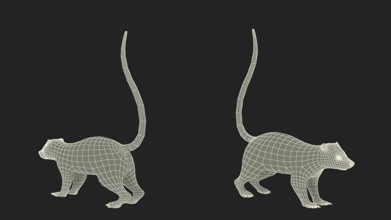 Skunk Fur 3D model