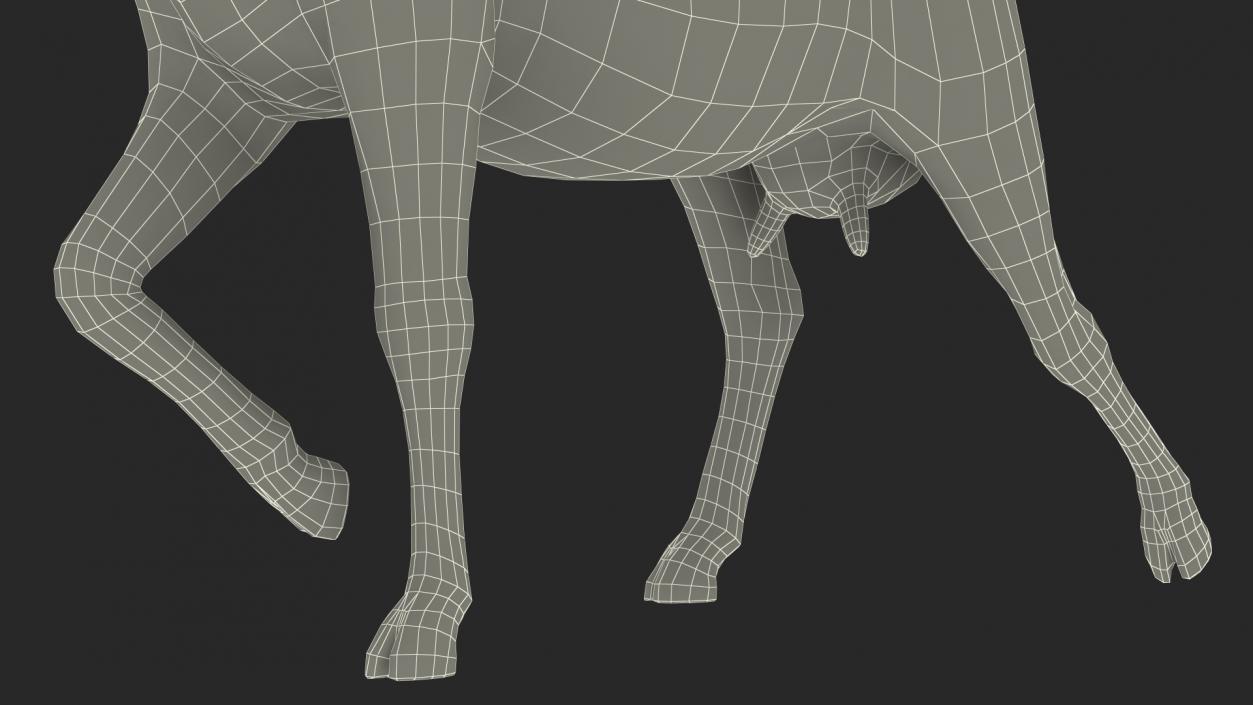 3D White Goat Walking model