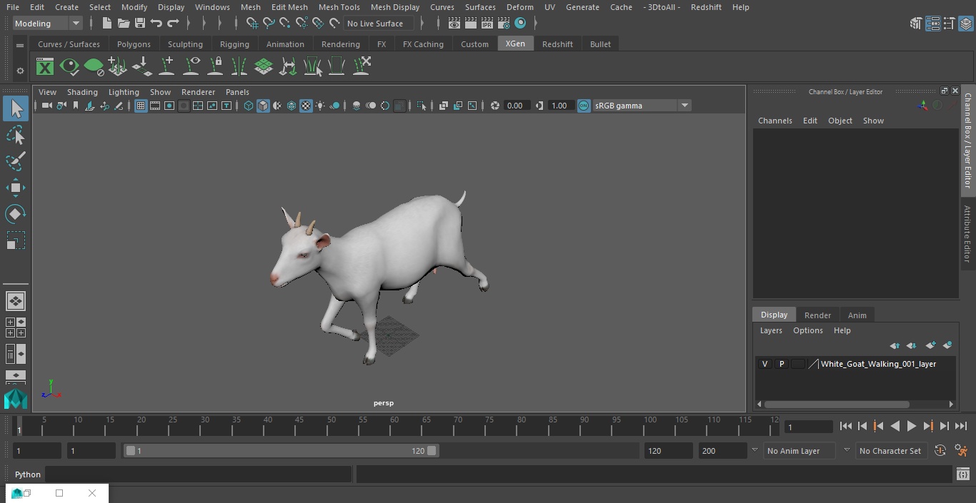 3D White Goat Walking model