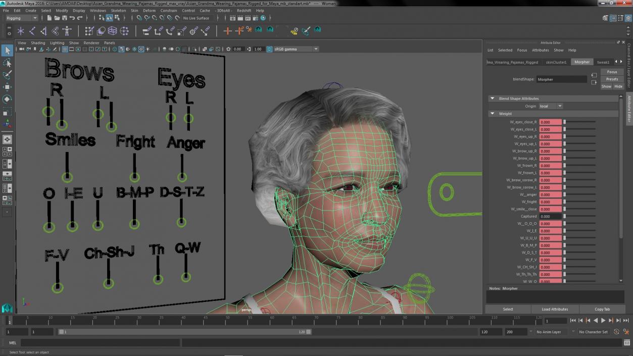 3D model Asian Grandma Wearing Pajamas Rigged for Maya