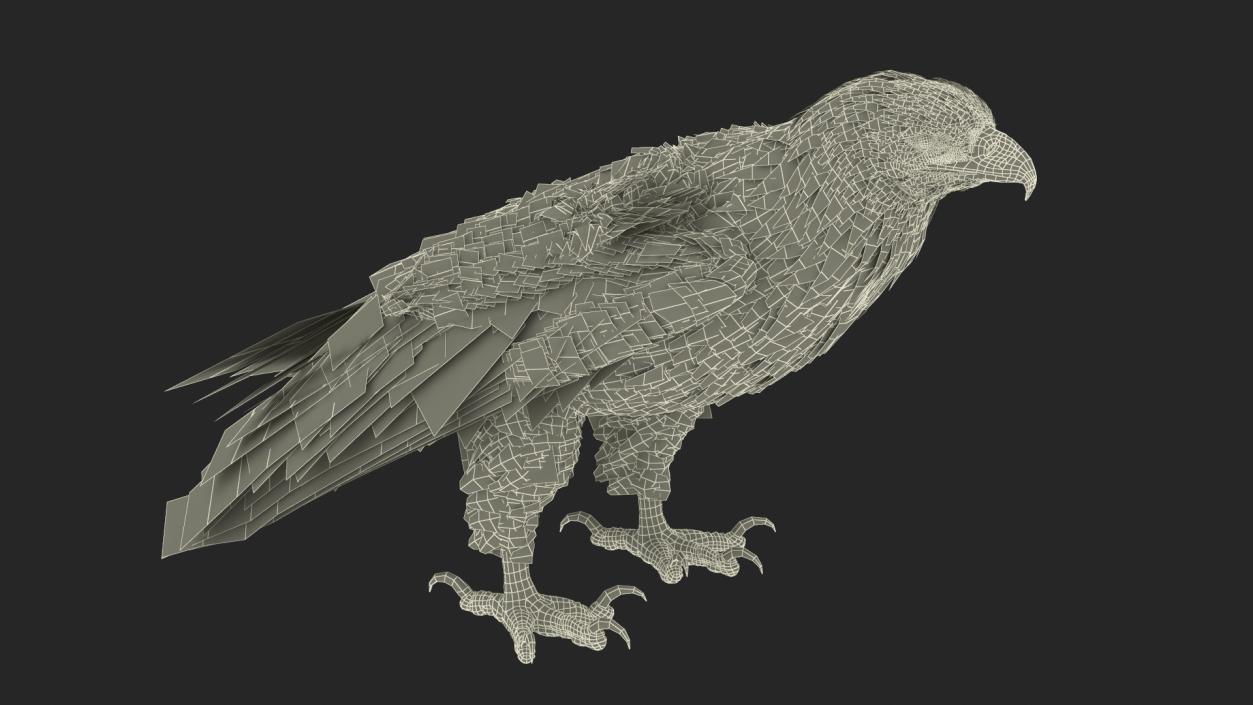 3D Golden Eagle Standing