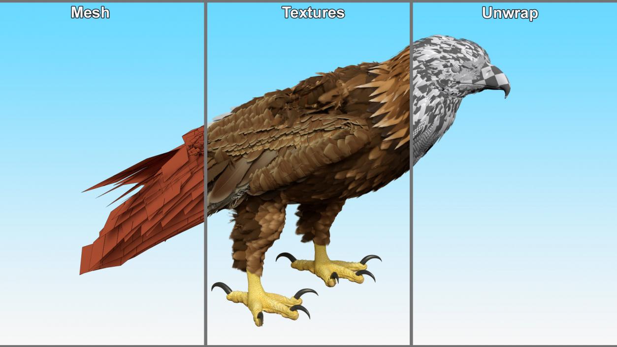 3D Golden Eagle Standing