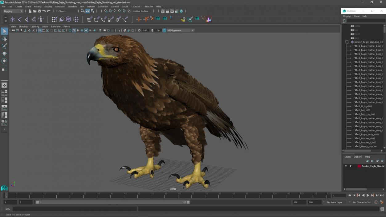 3D Golden Eagle Standing