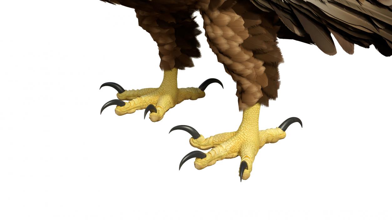 3D Golden Eagle Standing