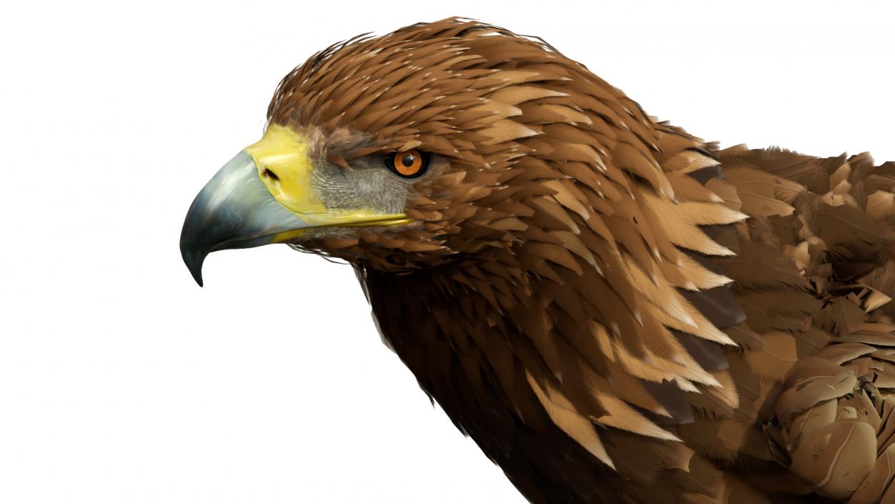 3D Golden Eagle Standing