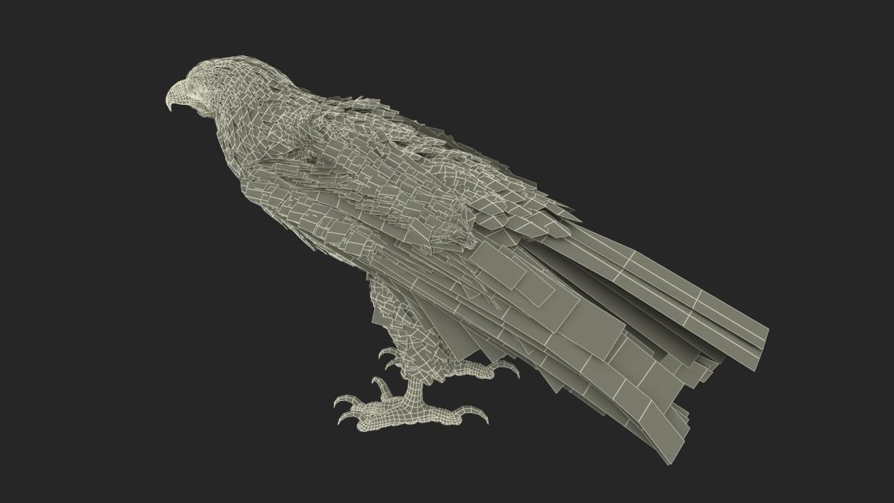 3D Golden Eagle Standing