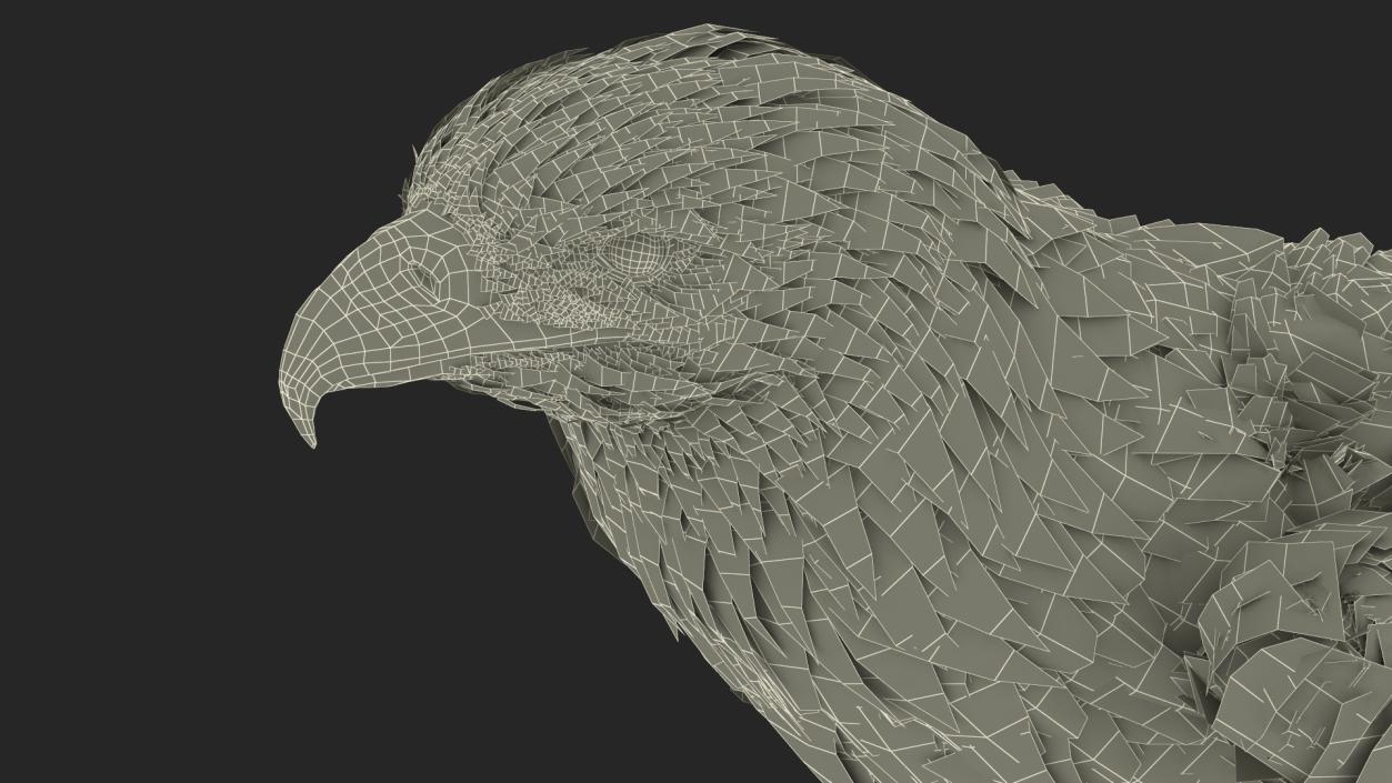 3D Golden Eagle Standing