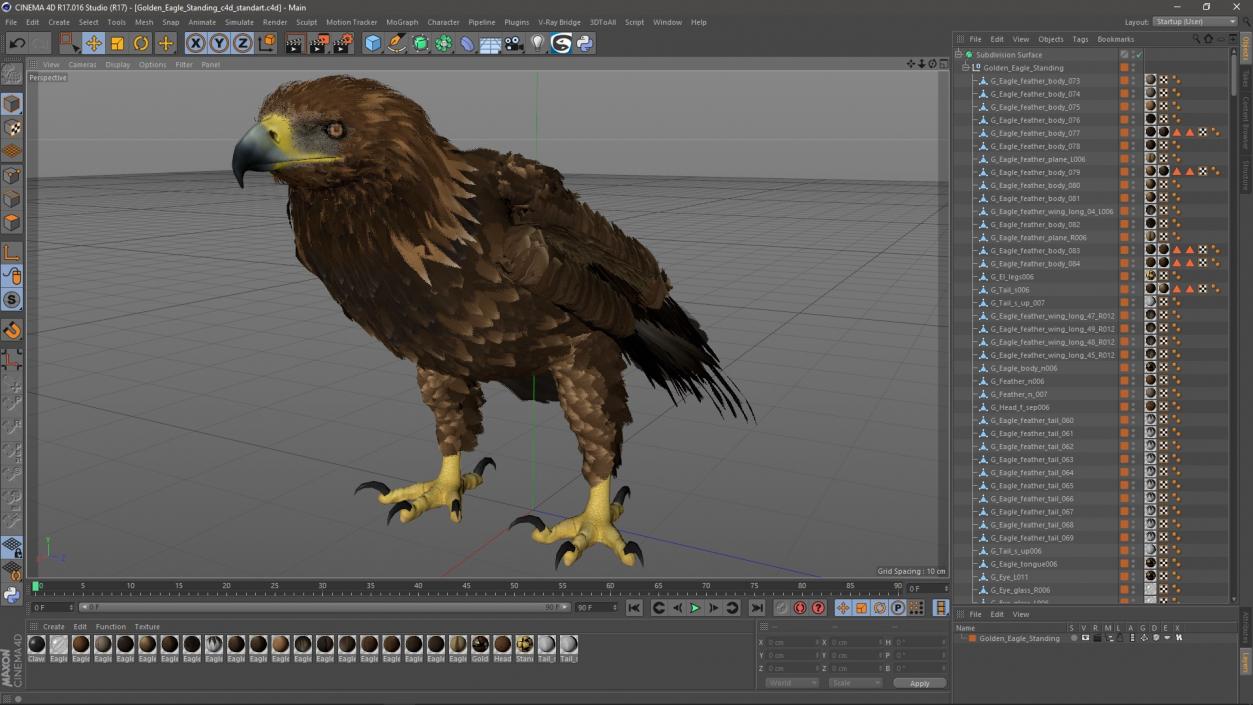 3D Golden Eagle Standing