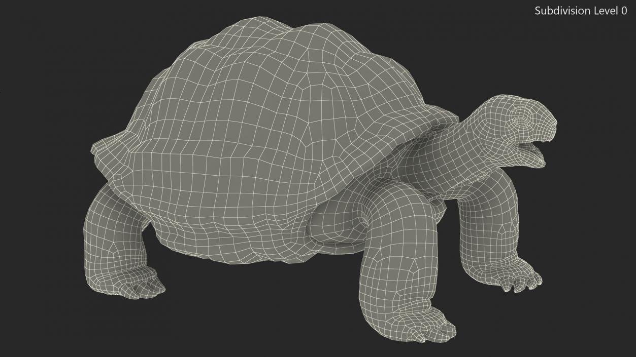 Aldabrachelys Gigantea Rigged 3D model