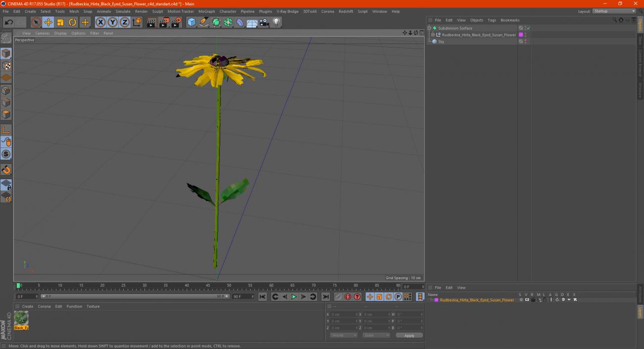 Rudbeckia Hirta Black Eyed Susan Flower 3D model