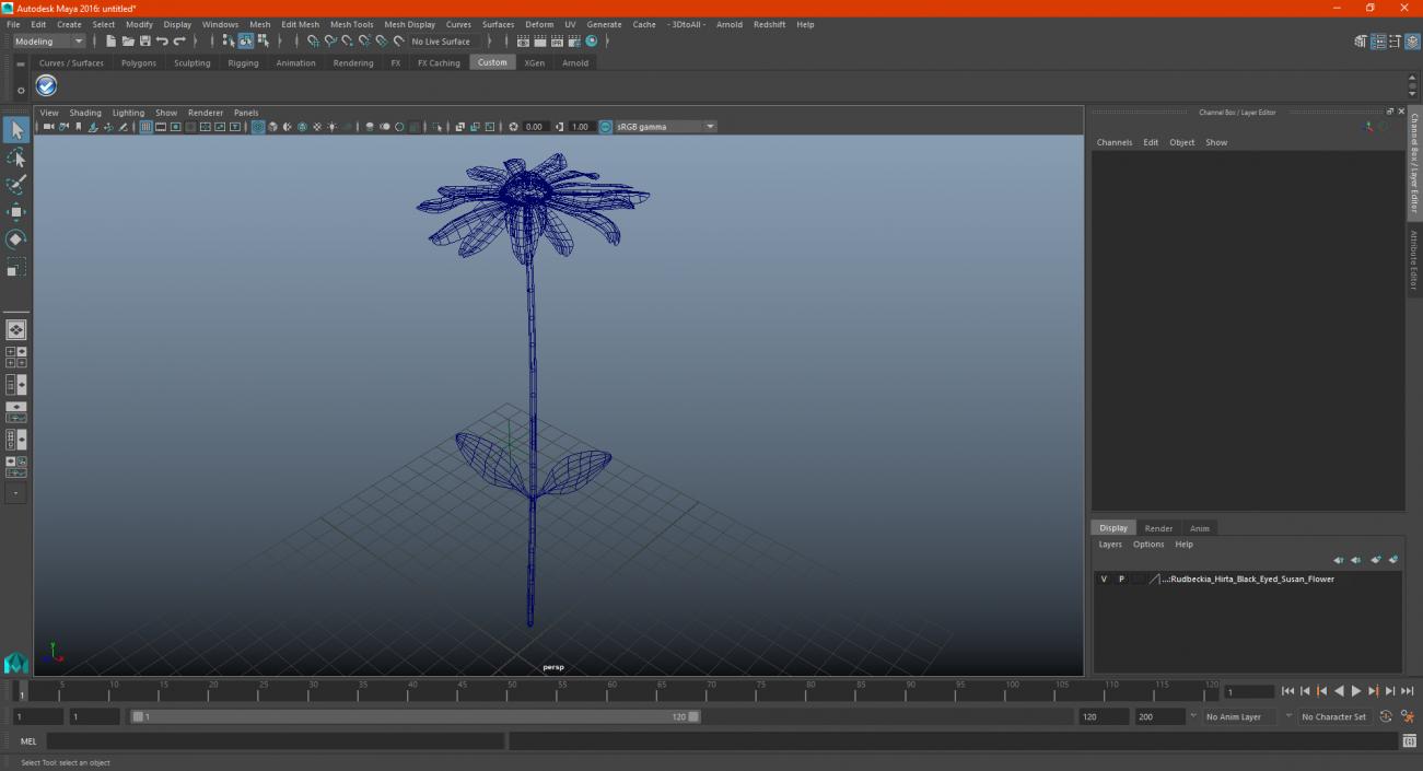 Rudbeckia Hirta Black Eyed Susan Flower 3D model
