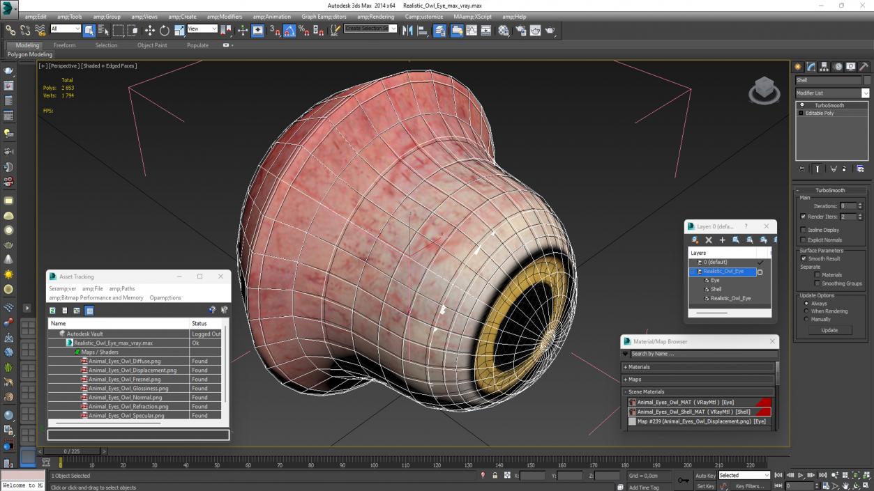 Realistic Owl Eye 3D