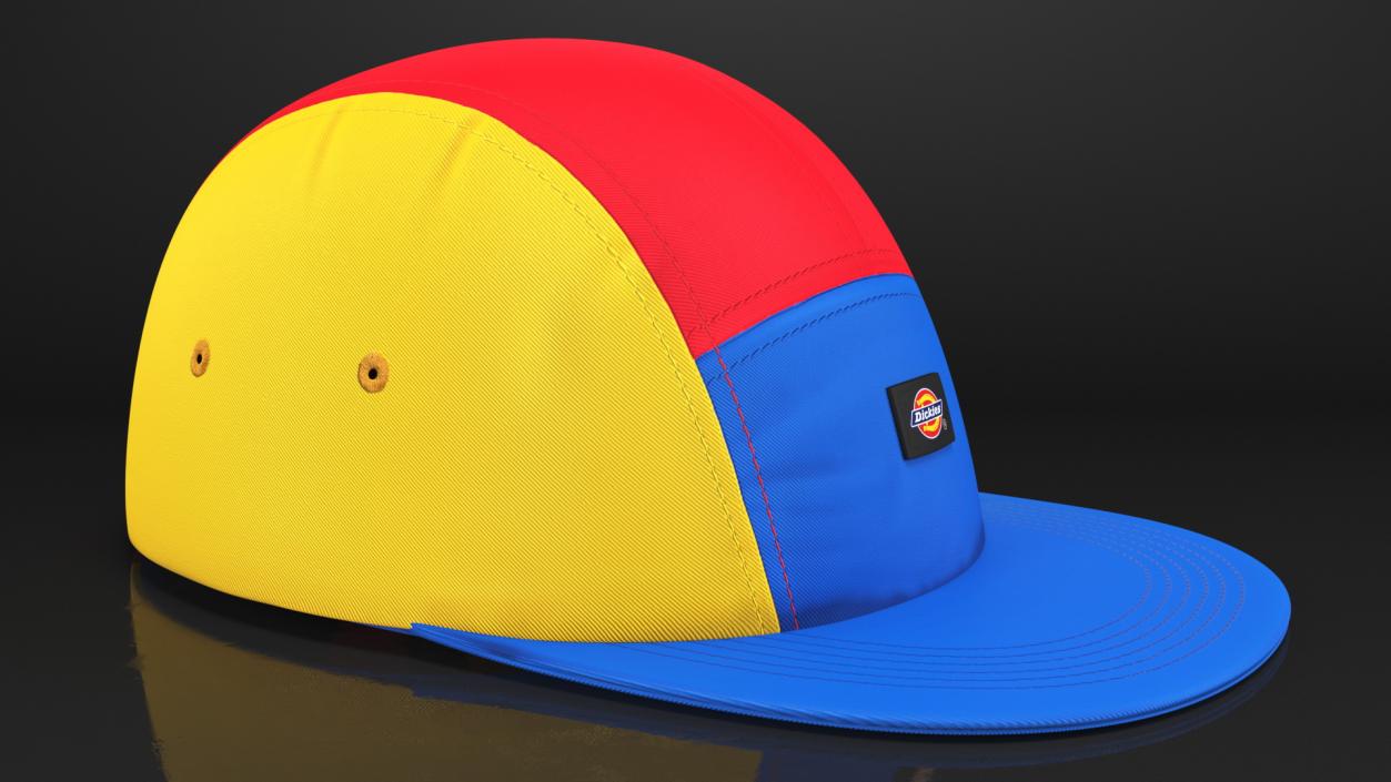 3D Dickies Hat Mcrae 5 Panel Cap Multicoloured model