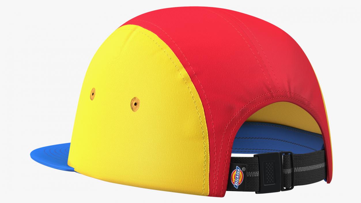 3D Dickies Hat Mcrae 5 Panel Cap Multicoloured model