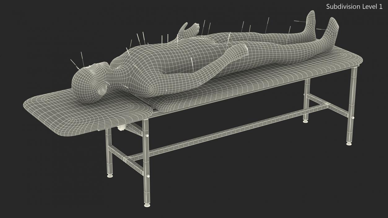 Male Acupuncture Mannequin on the Couch 3D model