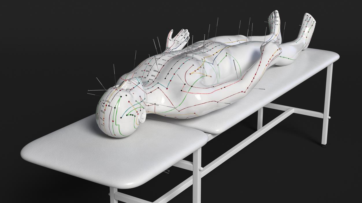 Male Acupuncture Mannequin on the Couch 3D model