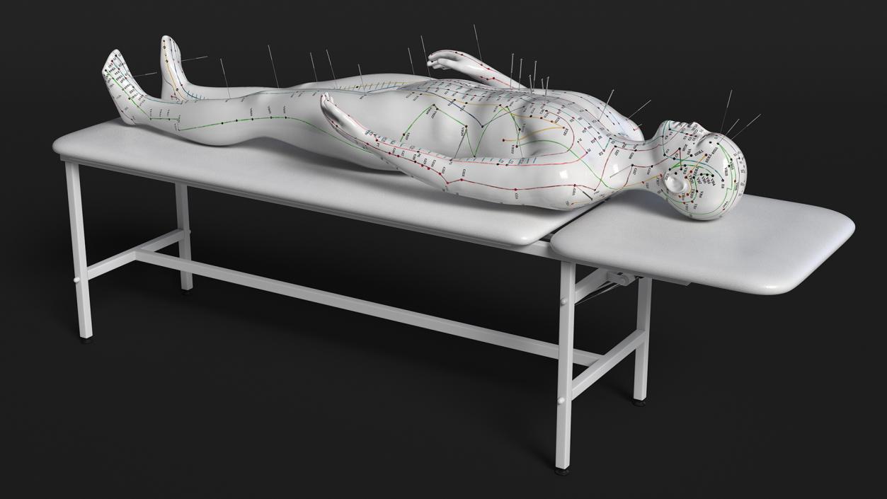 Male Acupuncture Mannequin on the Couch 3D model