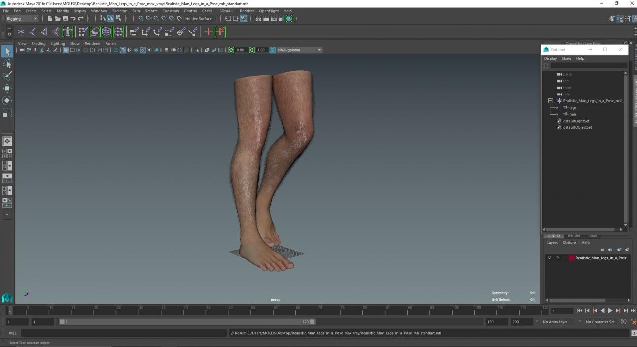 3D model Realistic Man Legs in a Pose 2