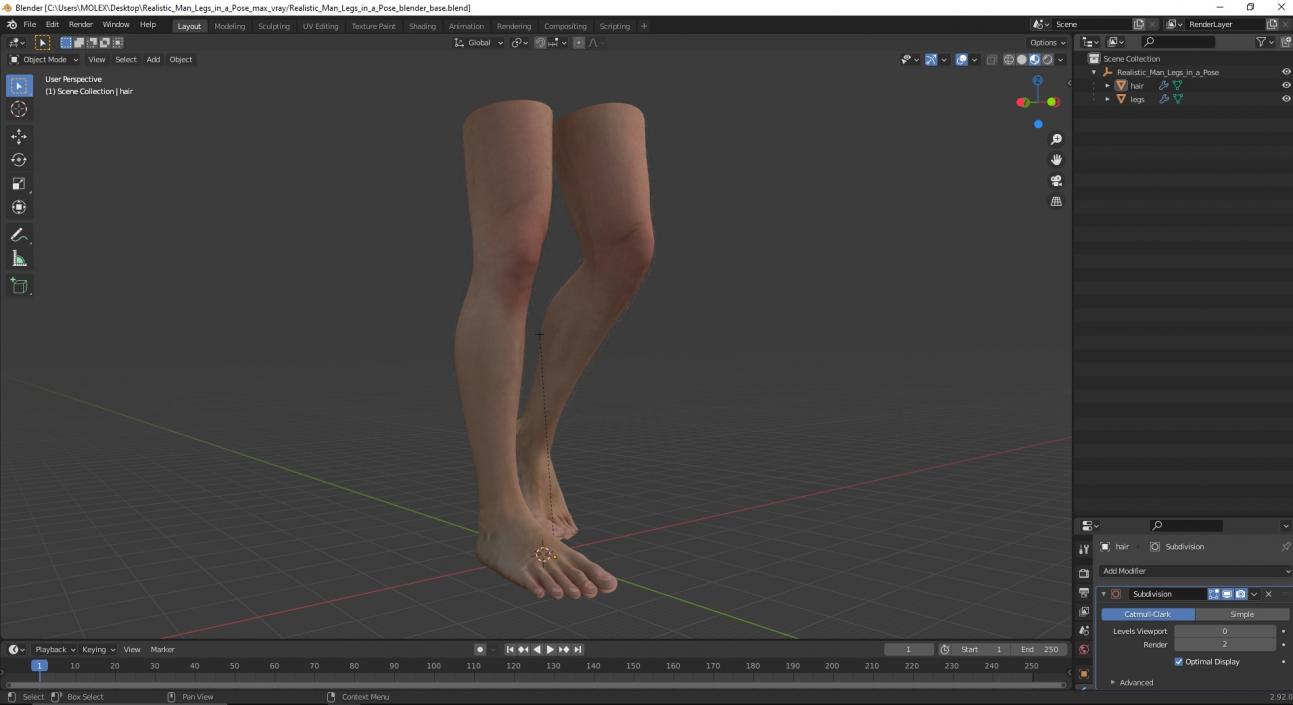 3D model Realistic Man Legs in a Pose 2