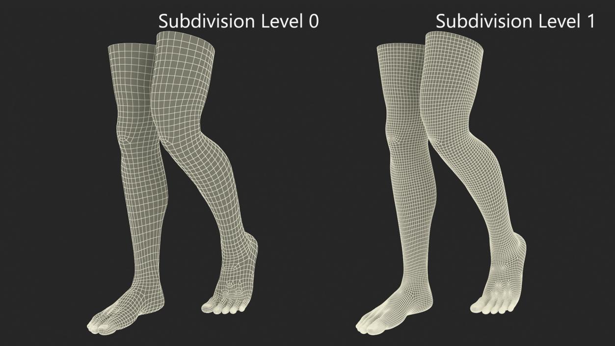 3D model Realistic Man Legs in a Pose 2