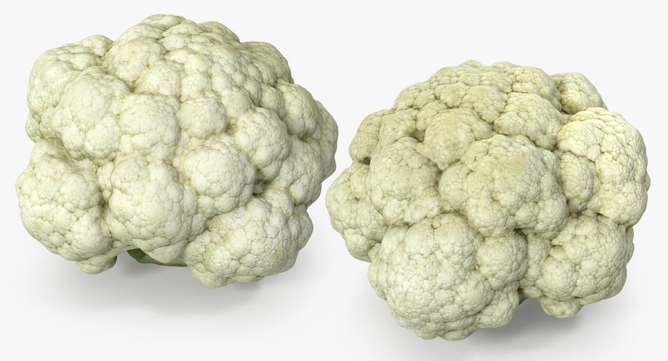 3D model Fresh Cauliflower Cabbage Vegetable