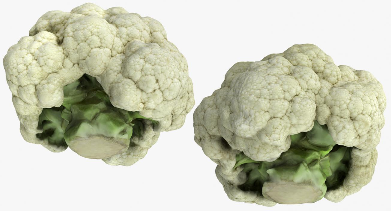 3D model Fresh Cauliflower Cabbage Vegetable