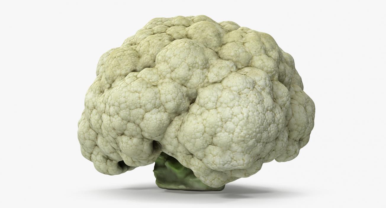 3D model Fresh Cauliflower Cabbage Vegetable