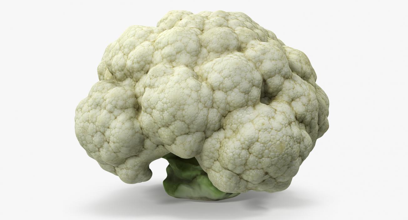 3D model Fresh Cauliflower Cabbage Vegetable