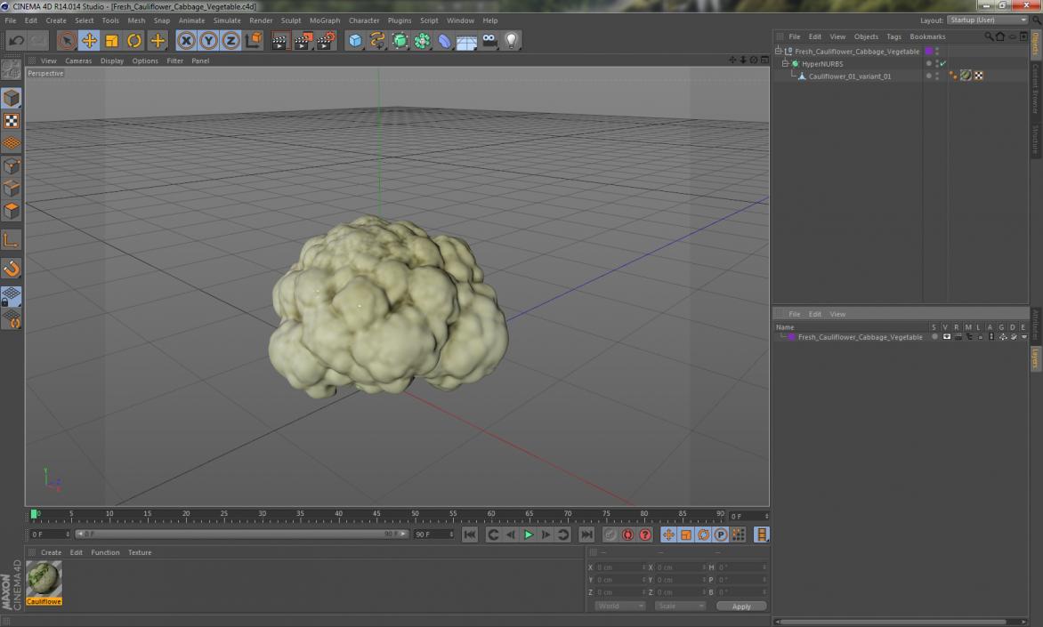 3D model Fresh Cauliflower Cabbage Vegetable