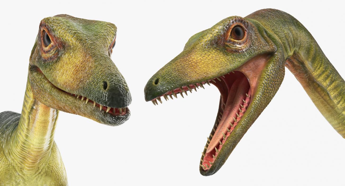 Rigged Dinosaurs Collection 4 3D model